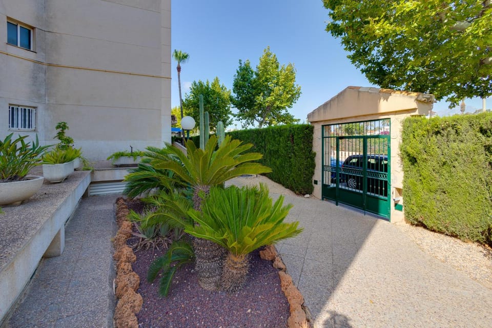 Apartamentos Oasis Apartment in Marina Baixa