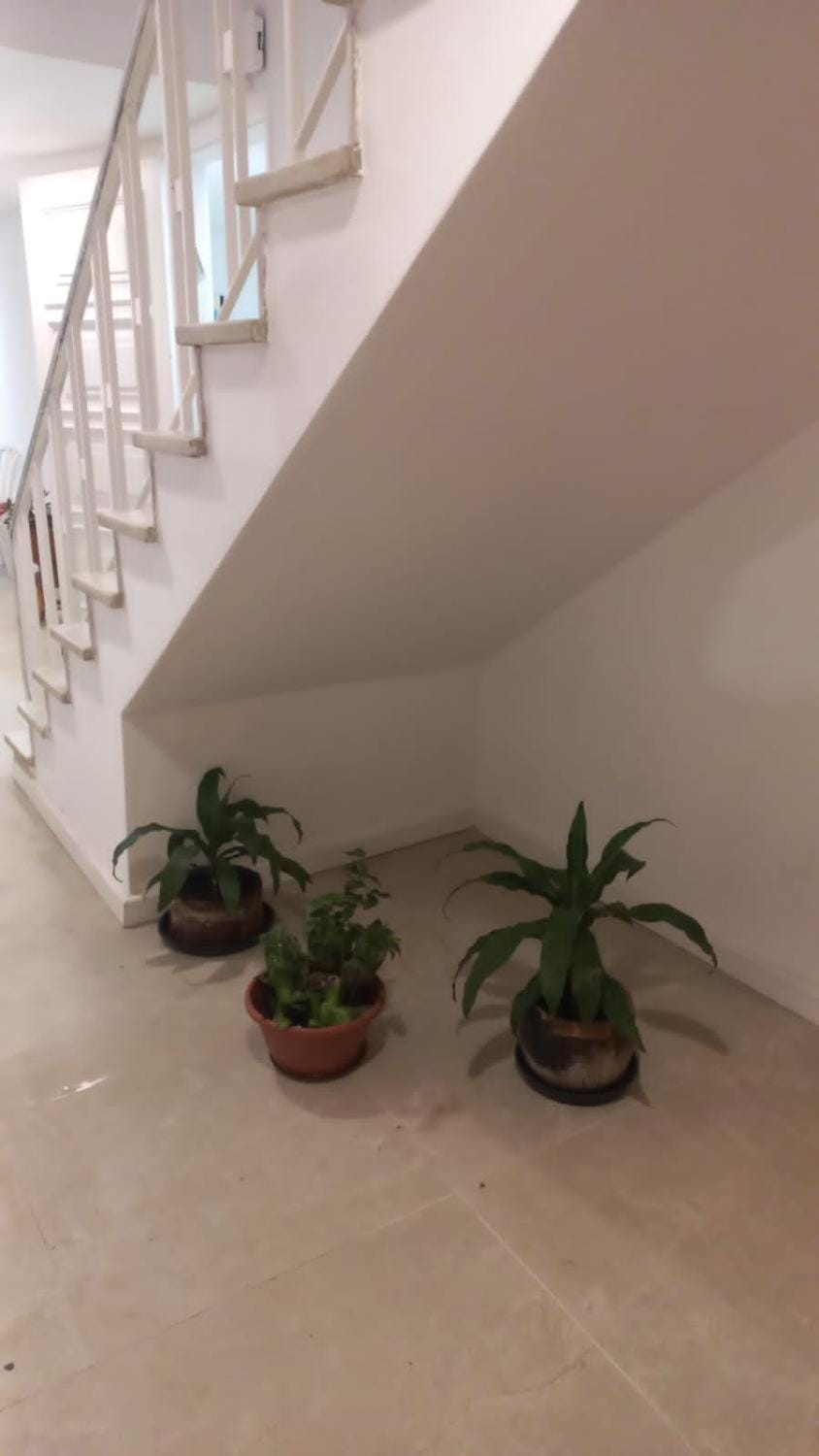 Espaço Semente Poa Lírio Vacation rental in Porto Alegre