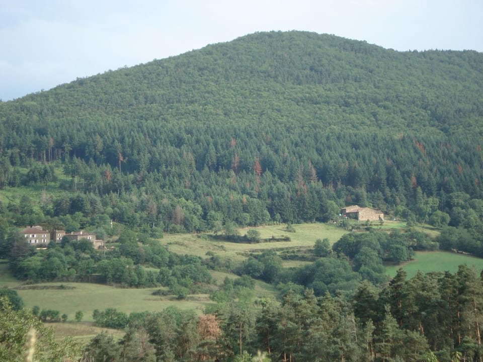 Property building, Natural landscape