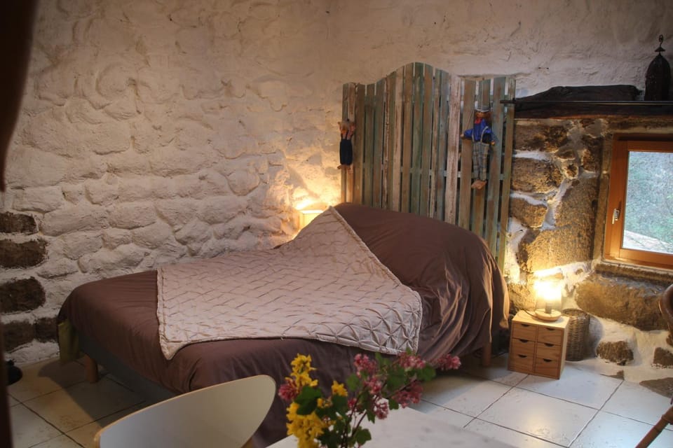 Bed, Photo of the whole room