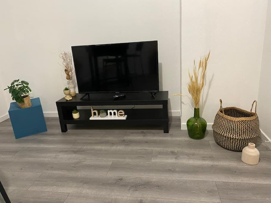 TV and multimedia