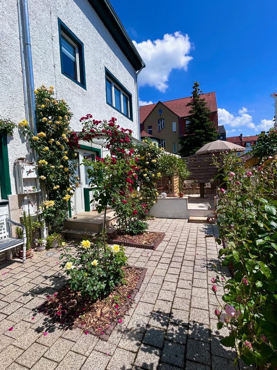 Property building, Garden view