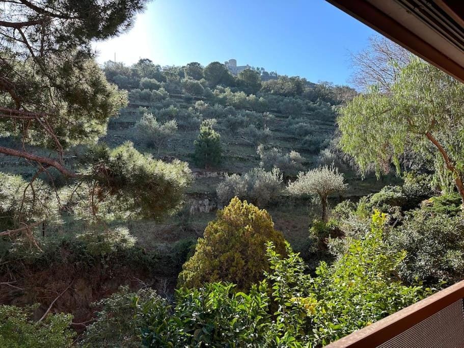 T3 Grand Standing 65m2, vue mer, parking privé et à 200m des plages Apartment in Collioure