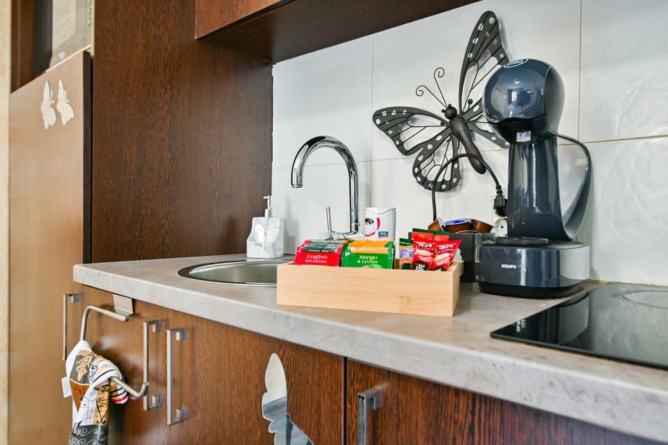 Neofit Rilski Apartment (near Vitoshka street) Apartment in Sofia
