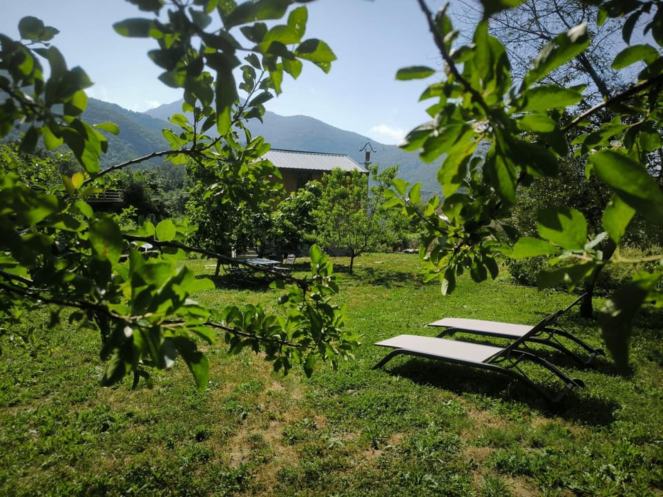 U MULINU Apartment in Corsica