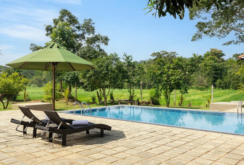 Natural landscape, Pool view, Swimming pool, sunbed