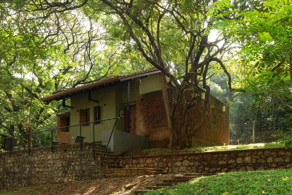 Property building, Day, Garden, Garden view