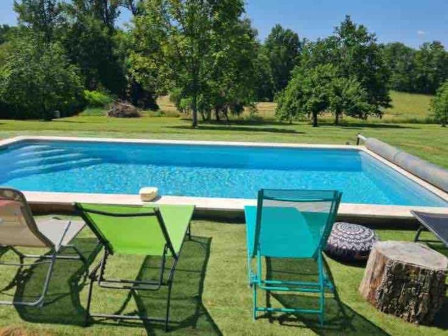 Garden, Garden view, Pool view, Swimming pool, sunbed