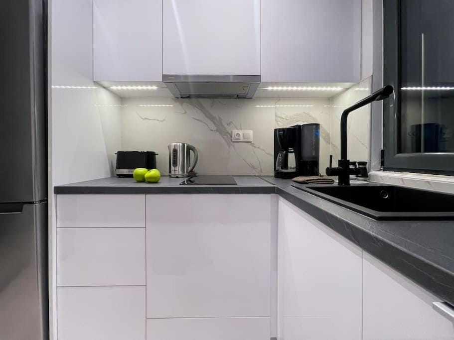 Coffee/tea facilities, Kitchen or kitchenette, minibar, stove, toaster