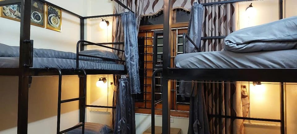 Bed, Photo of the whole room, Bedroom, bunk bed