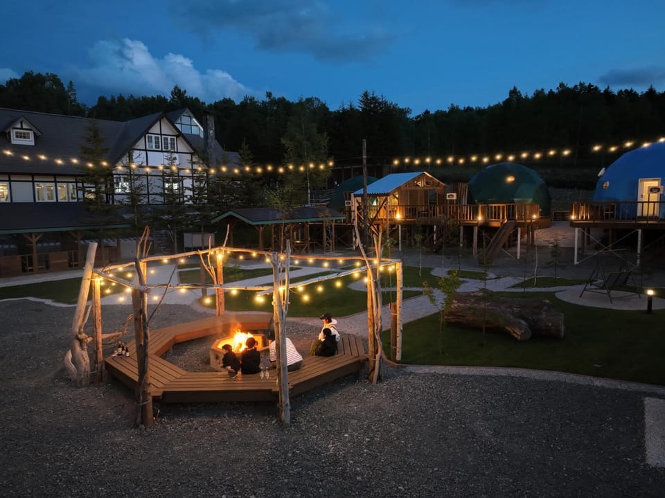 Night, Natural landscape, Garden