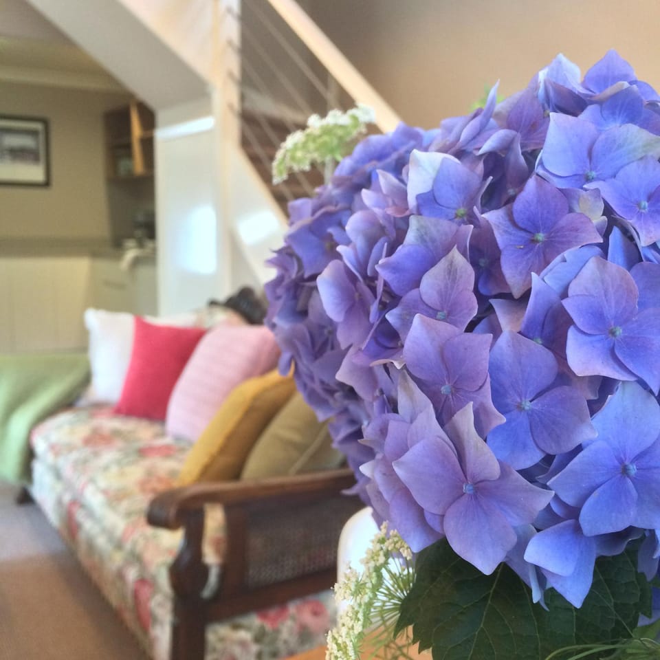 Living room, Decorative detail, Decorative detail, Seating area