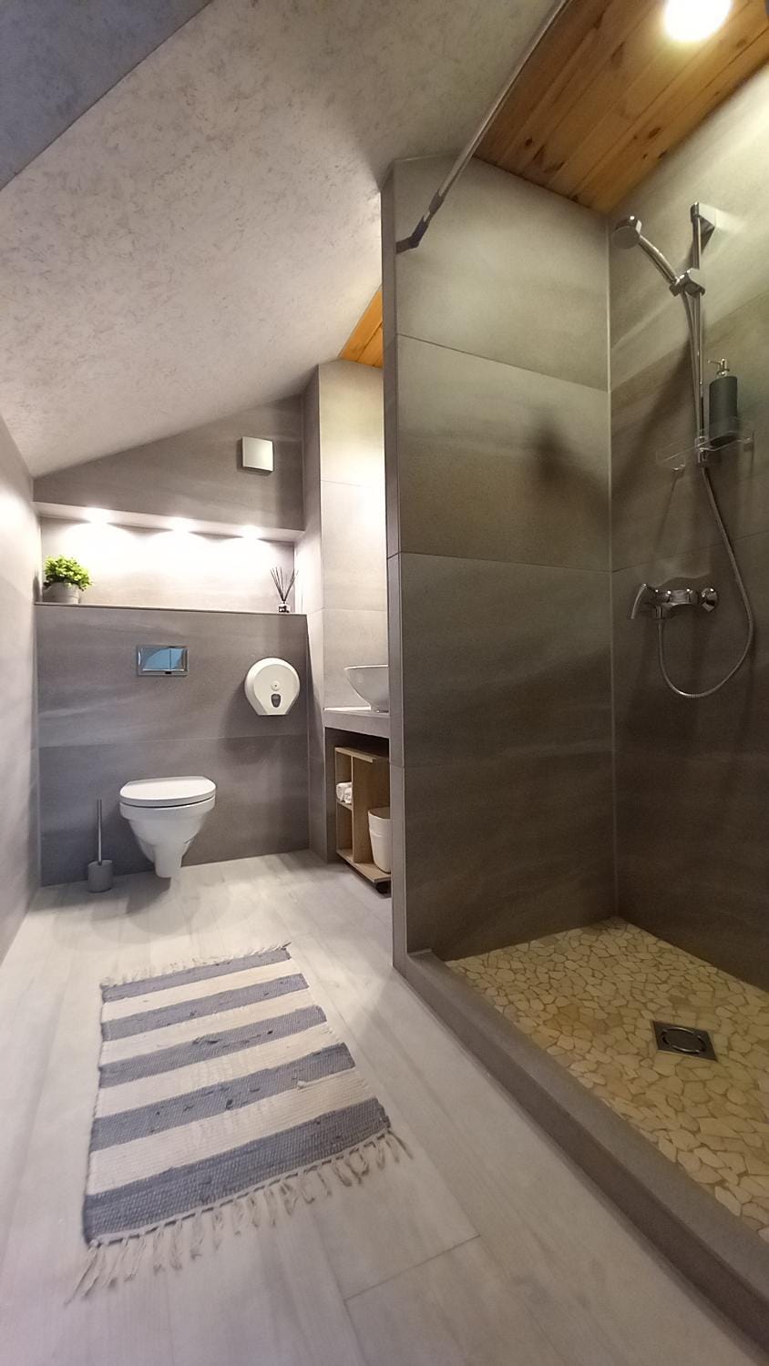 Shower, Toilet, towels
