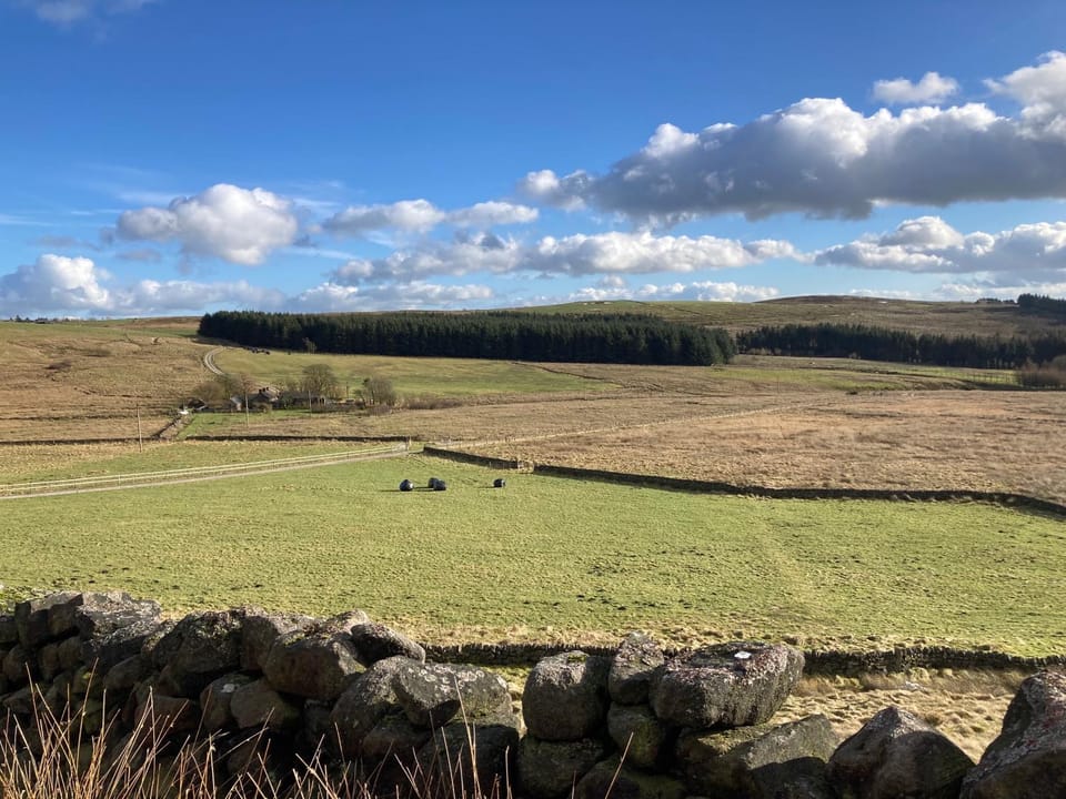 Natural landscape, Garden, Garden view