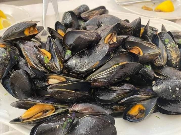 Sea & Culture San Terenzo -Lerici-300 m from the beach Apartment in Lerici