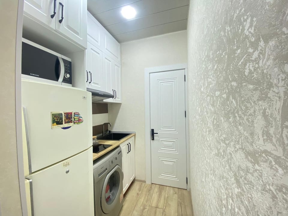 Kitchen or kitchenette, dishwasher, minibar, oven, washing machine