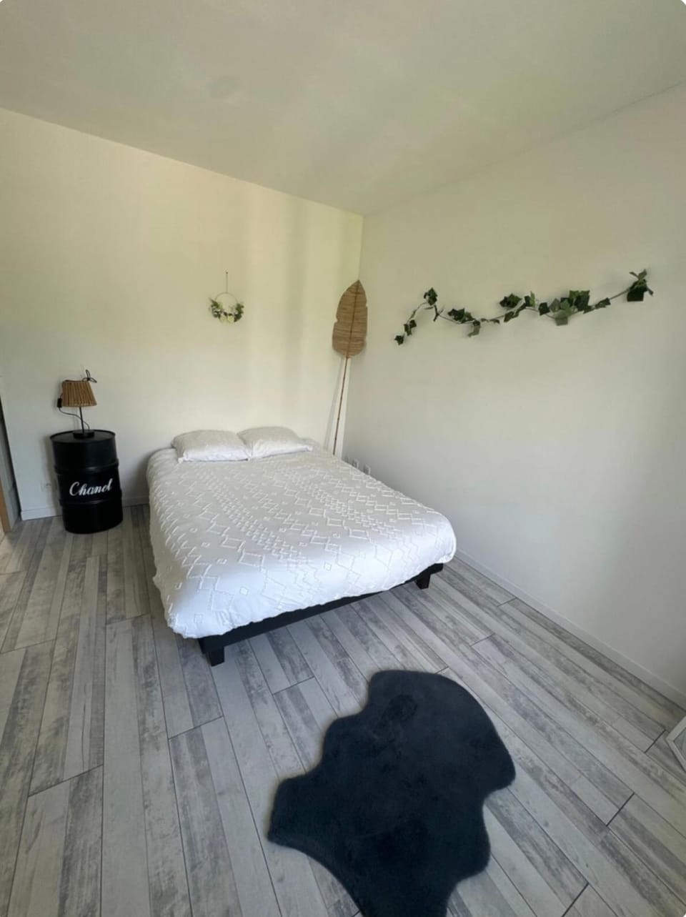 Appartement T3 Apartment in Occitanie