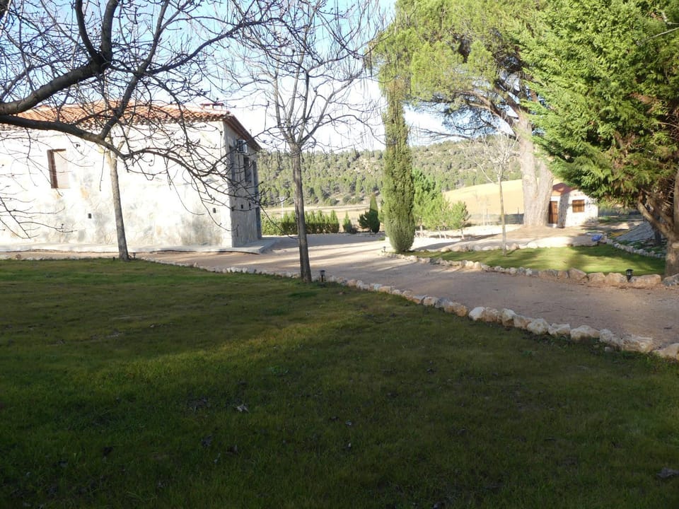 Day, Natural landscape, Garden, Garden view