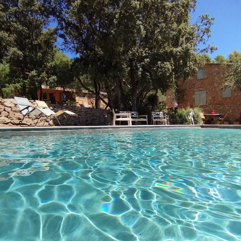 Natural landscape, Pool view, Swimming pool