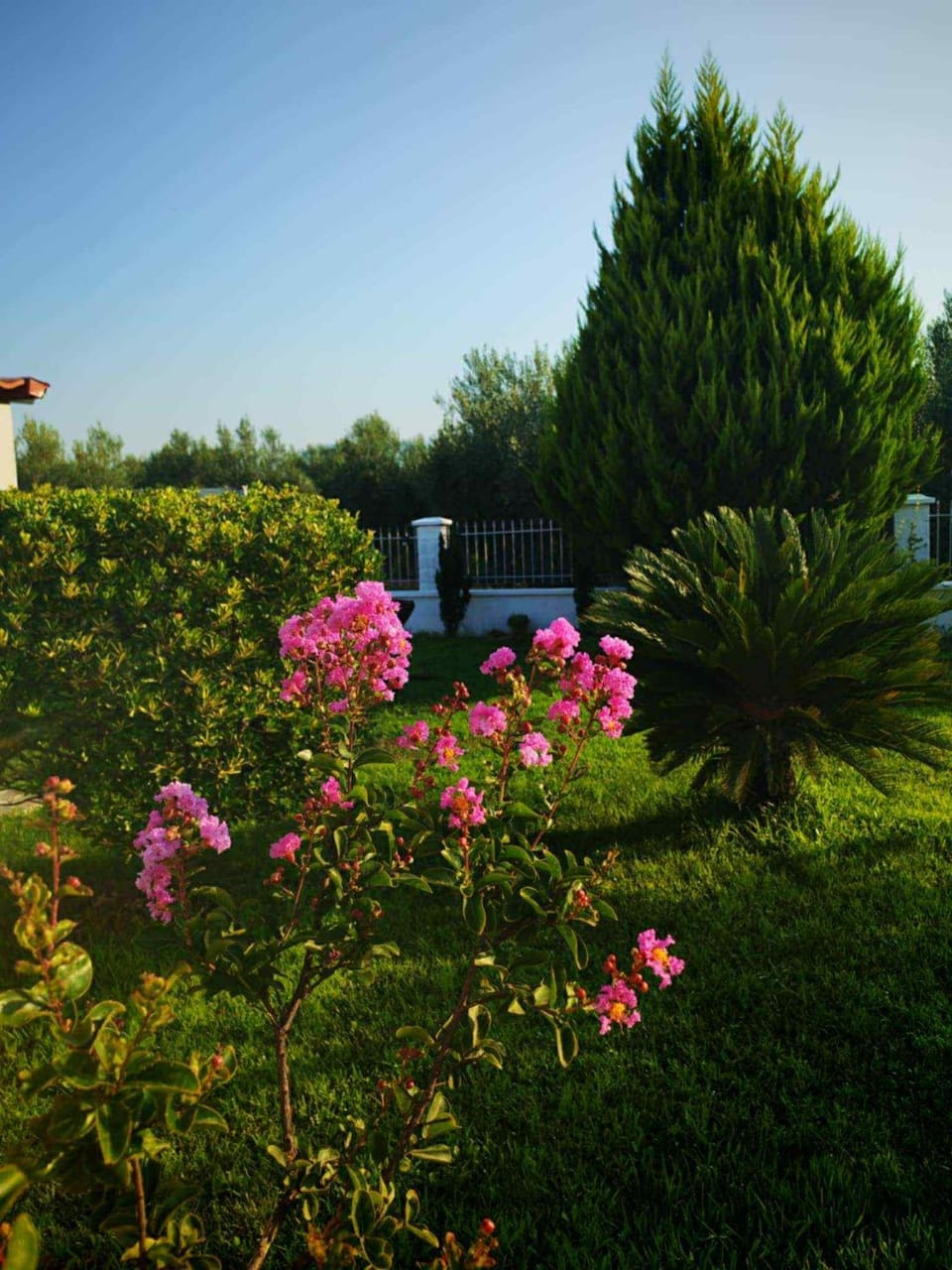 BLUE HOUSE House in Decentralized Administration of Macedonia and Thrace