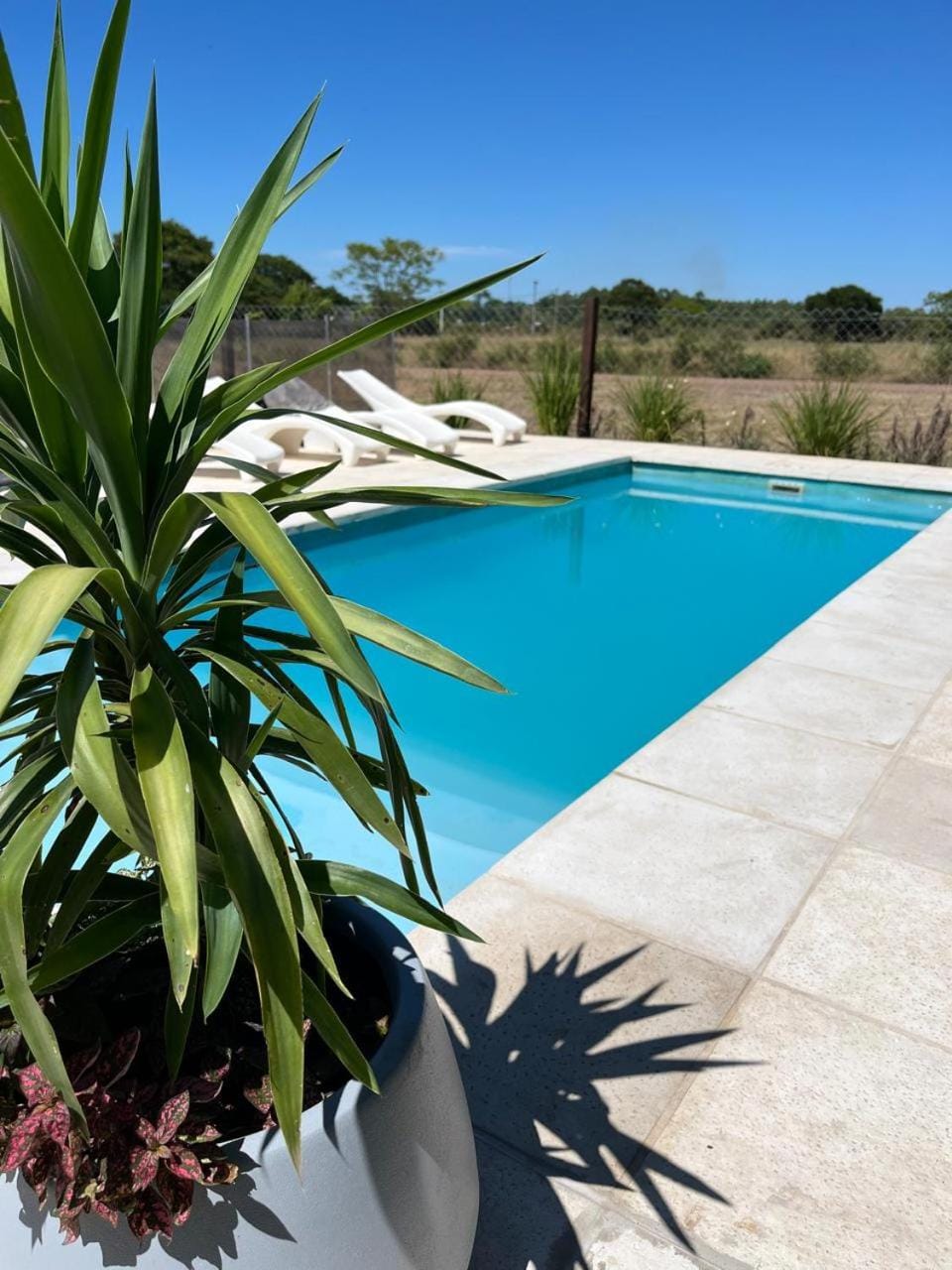 Garden view