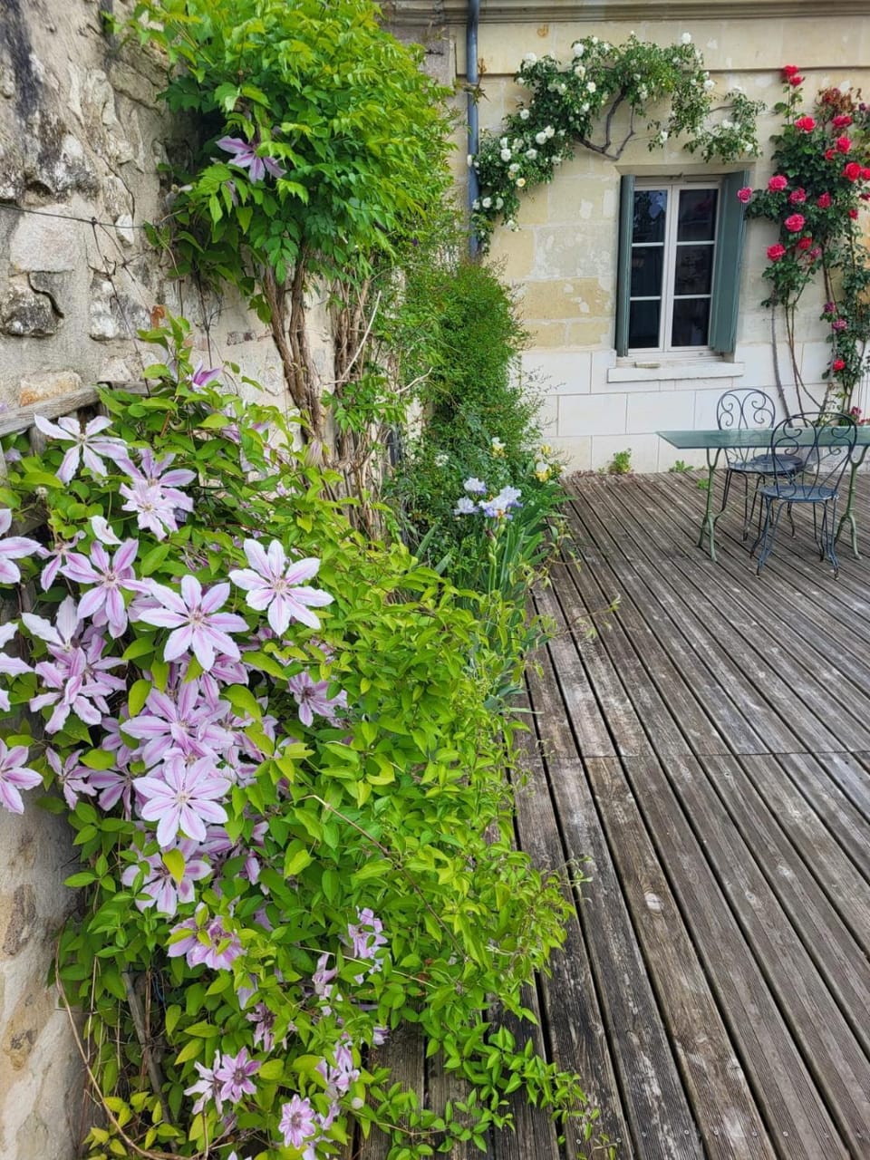 Garden view