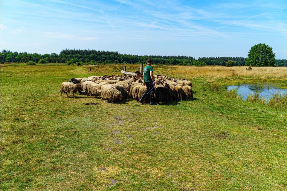 Mini Camping Drentse Monden Luxury tent in Drenthe (province)