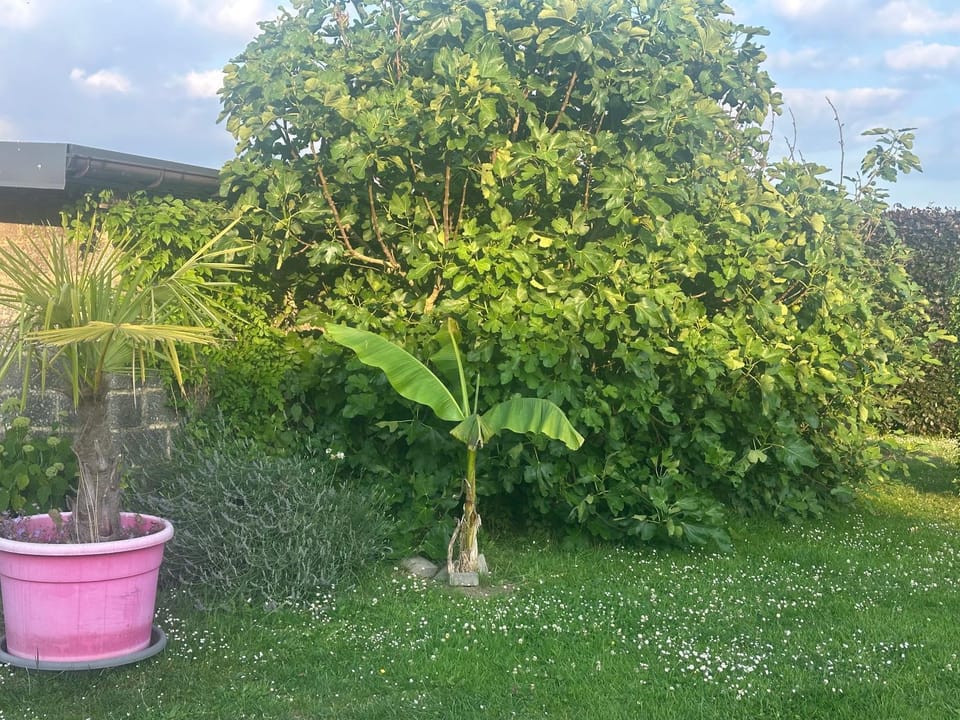 Gîte de la vieille grange Apartment in Hauts-de-France
