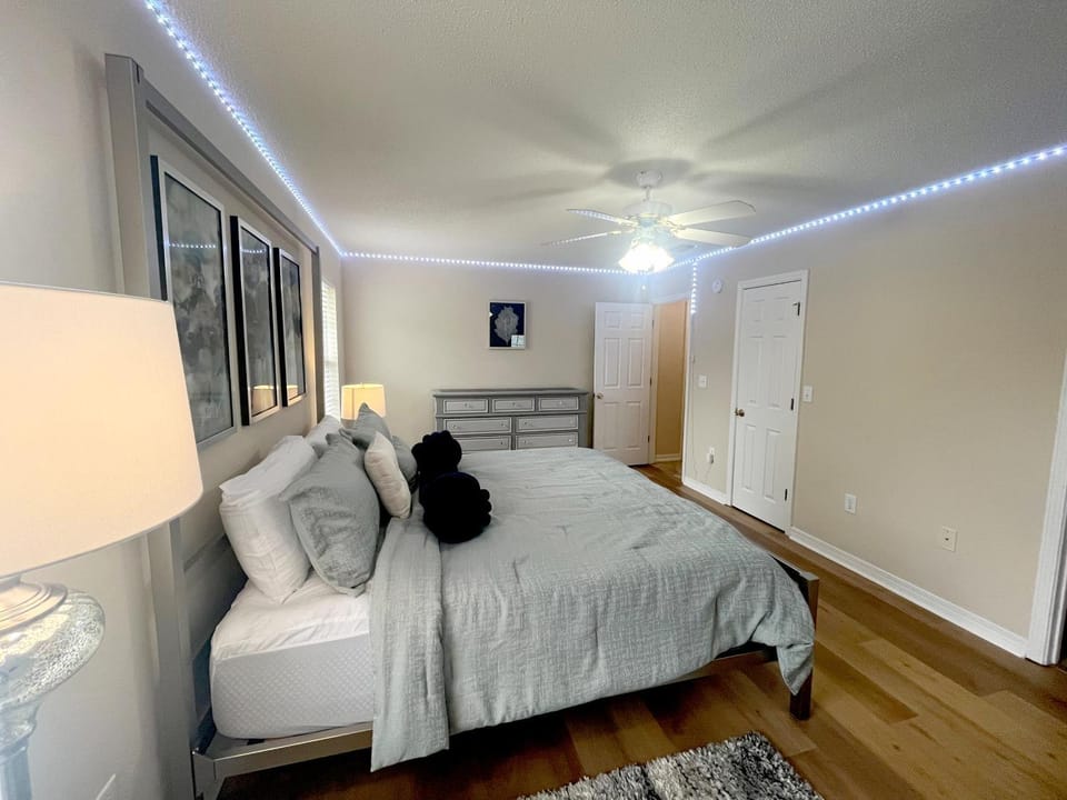 Bed, Photo of the whole room, Bedroom