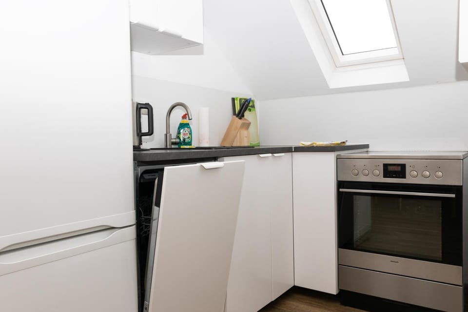 Kitchen or kitchenette, dishwasher, minibar, oven, pet friendly, stove