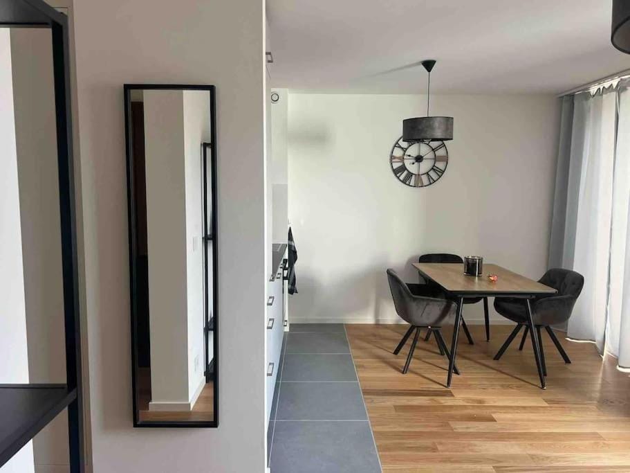 Charmant Studio Apartment in Geneva
