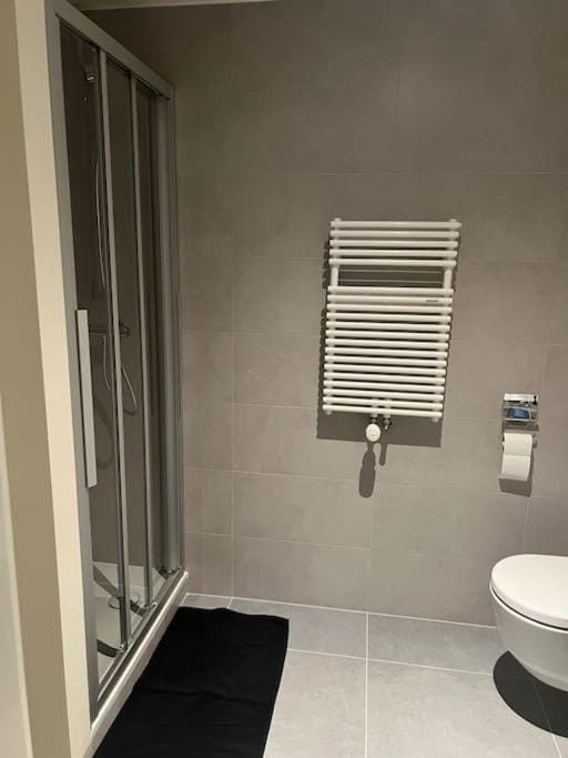 Charmant Studio Apartment in Geneva