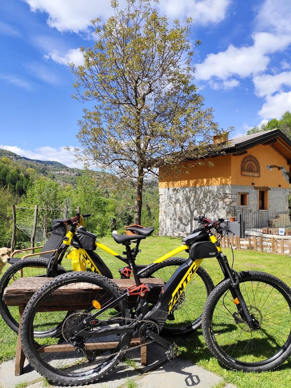 Cycling