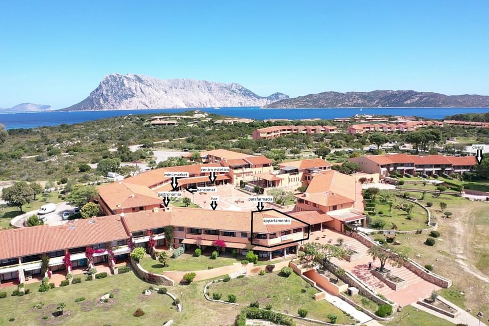 Property building, Bird's eye view
