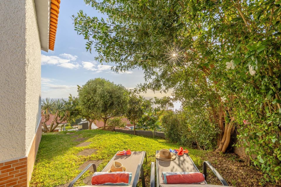 Garden, Balcony/Terrace, sunbed