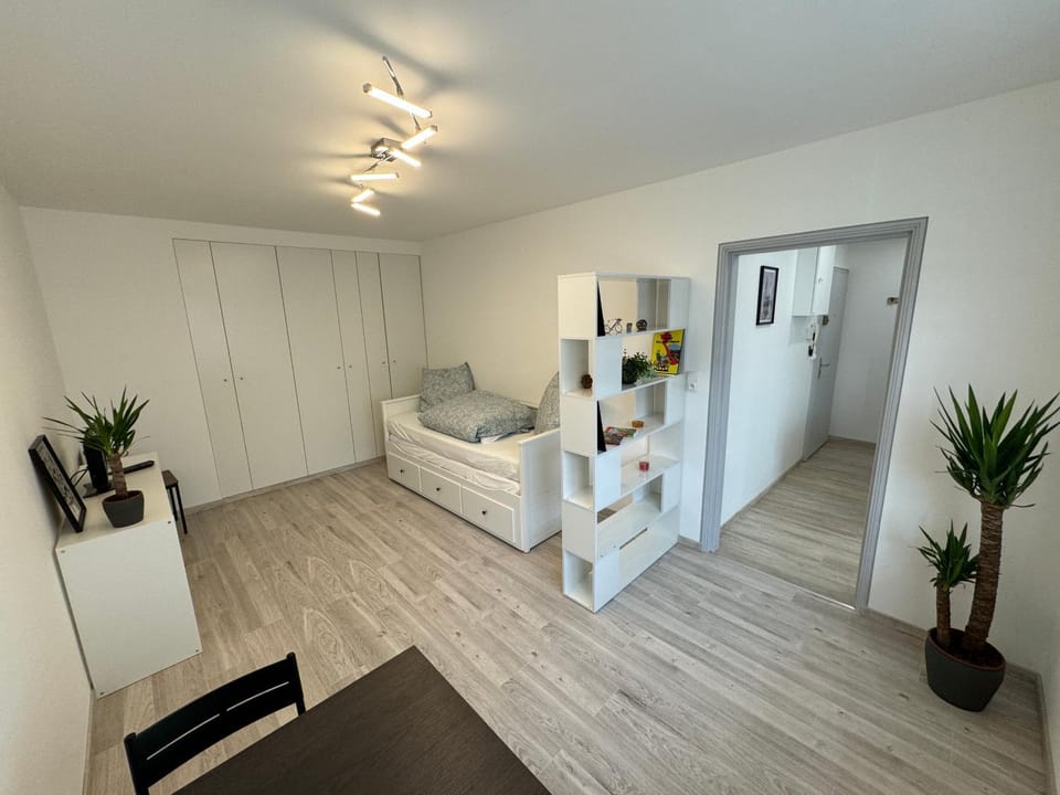 Bed, Kitchen or kitchenette, Photo of the whole room, Bedroom, wardrobe