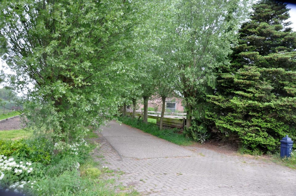 Day, Garden, Garden view