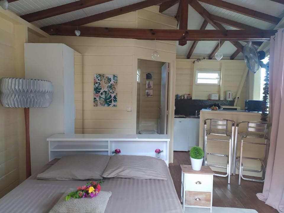Bed, Kitchen or kitchenette, Living room, Photo of the whole room, Seating area, Dining area, Bedroom
