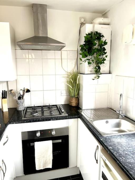 Green Suite - Central Reading - Relocators - Work Apartment in Reading