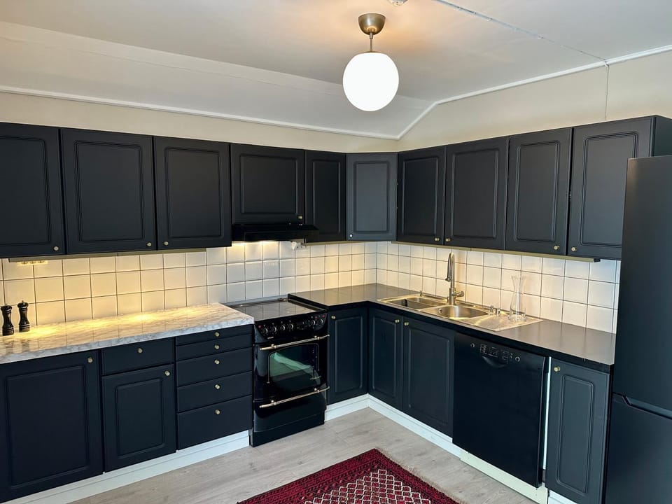 Kitchen or kitchenette, dishwasher, minibar, pet friendly, stove