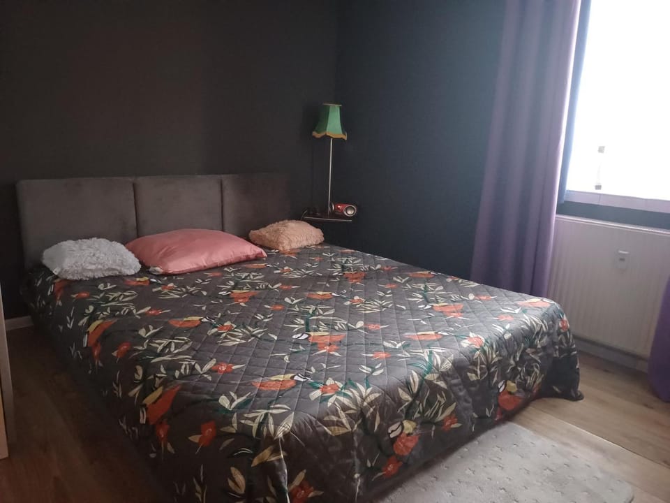 Apartament-Zaodrze,2- pokoje,kuchnia,łazienka Apartment in Czechia
