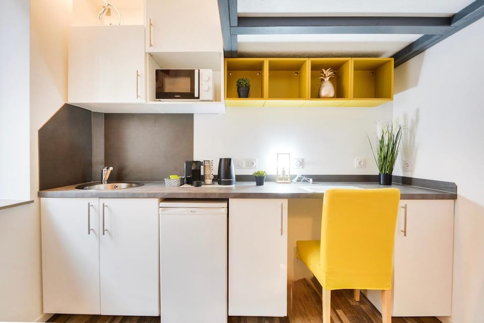 Le Petit Charles Studio cosy Nancy Centre Apartment in Nancy