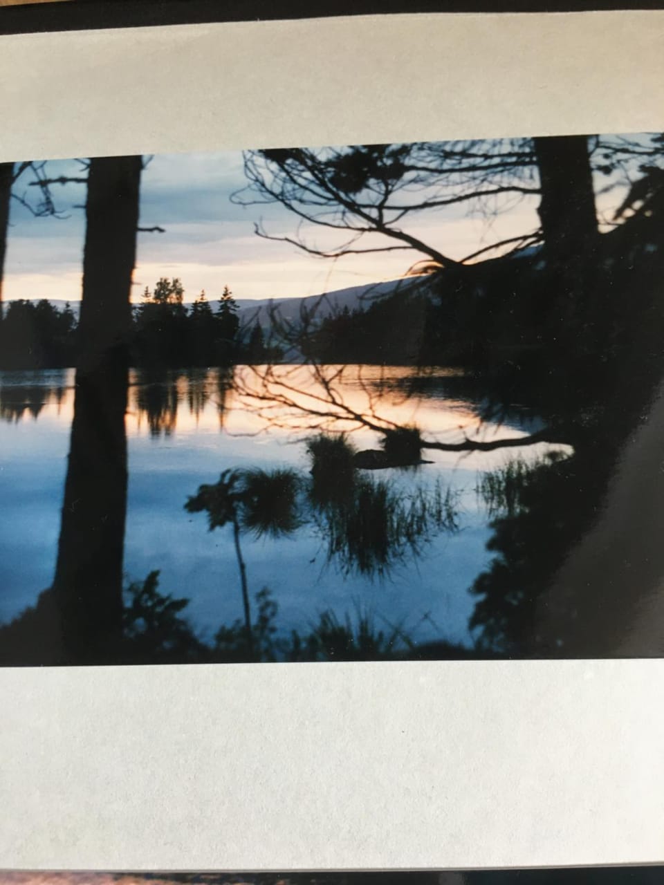Natural landscape