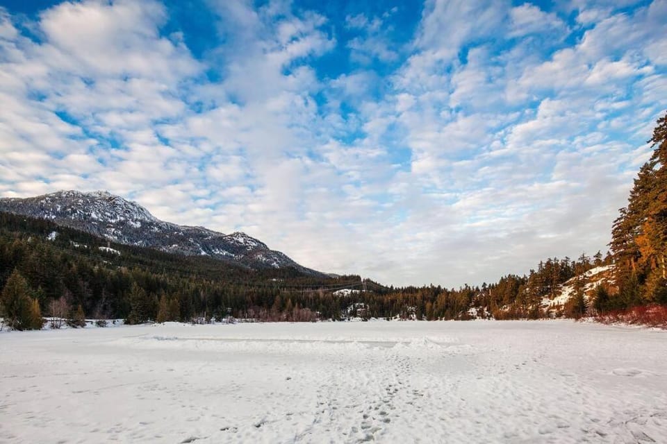 Whistler Studio by Gondola & Free Parking Apartment in Whistler