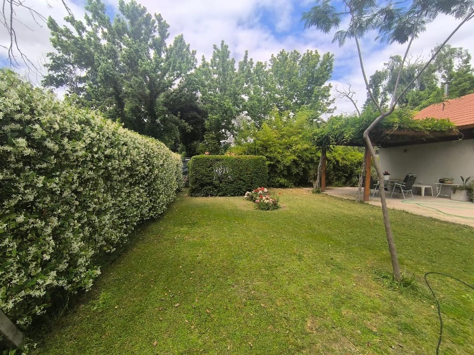Property building, Spring, Day, Garden, Garden view