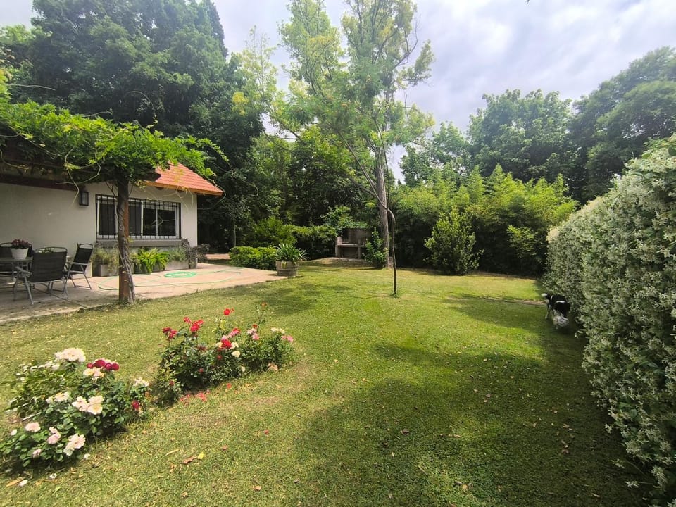 Property building, Spring, Day, Garden