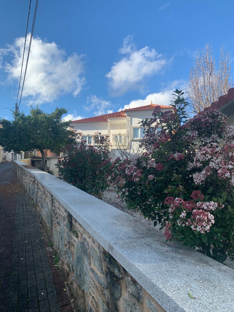 Property building, Spring, Day