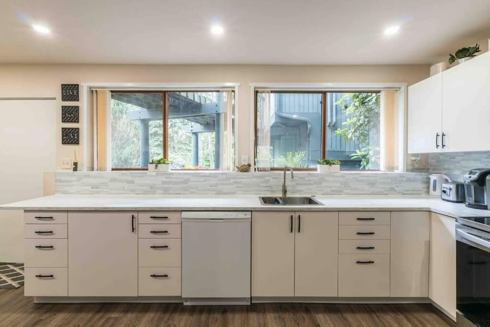 Kitchen or kitchenette, dishwasher, stove