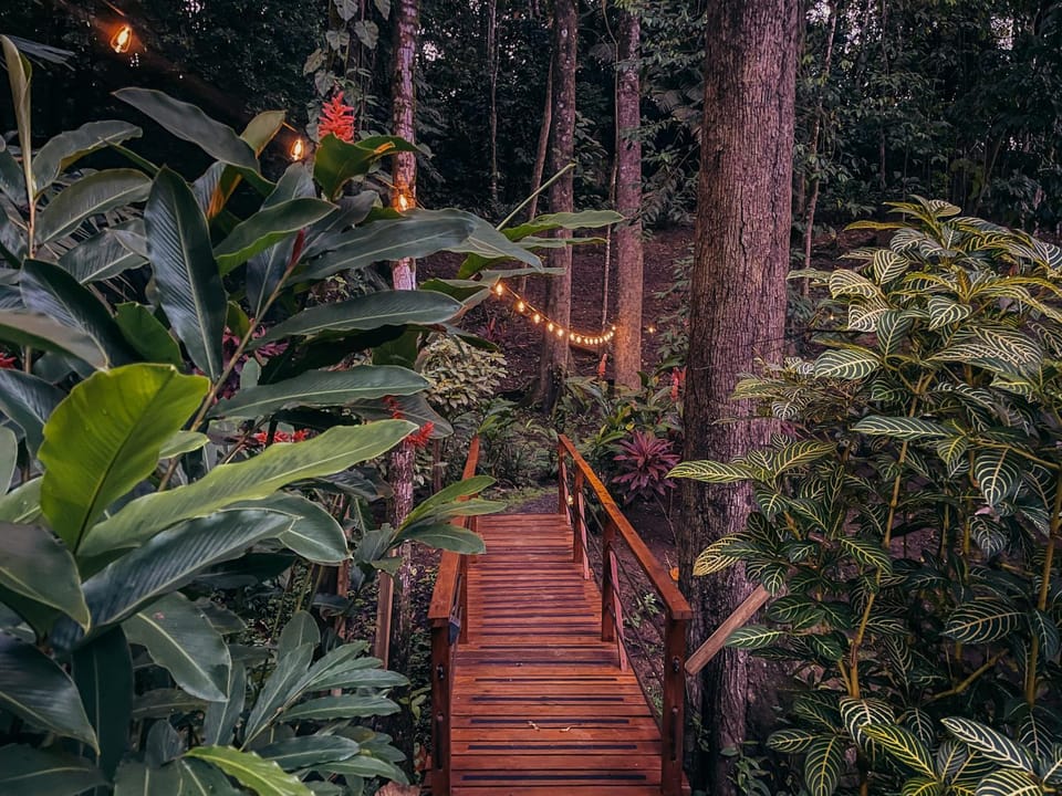 Gaia Nature Lodges at Bluff Beach House in Bocas del Toro Province