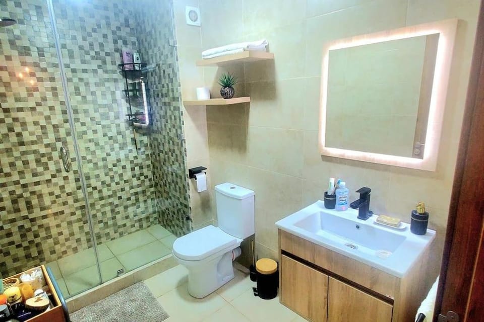 Toilet, Bathroom, towels